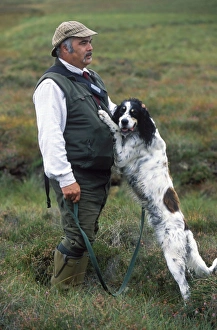 Country Sport Prints: Ghillie Jonnie Williamson and his English setter during