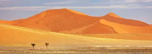 Sossusvlei Prints: Giant sand dunes, Sossusvlei, Namib-Naukluft National Park, Namib Desert, Namibia