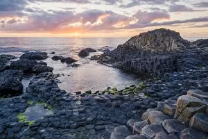 Images Dated 20th May 2017: The Giants Causeway, County Antrim, Ulster region, Northern Ireland, United Kingdom
