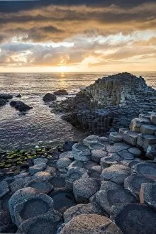 Images Dated 20th May 2017: The Giants Causeway, County Antrim, Ulster region, Northern Ireland, United Kingdom