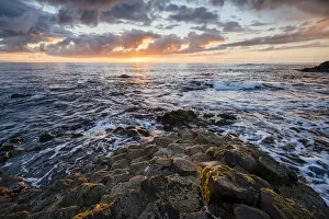 Images Dated 13th June 2017: The Giants Causeway, County Antrim, Ulster region, Northern Ireland, United