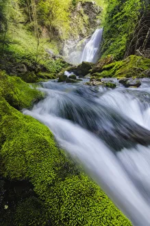 Torrent Prints: Gias Fontana waterfall and moss in Pesio Valley, Chiusa Pesio, Piedmont, Italy
