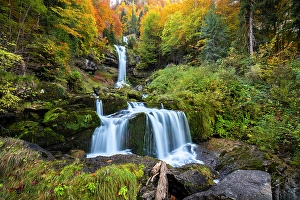 Waters Prints: Giessbach waterfall in autumn. Iseltwald, Lake Brienz, Bernese Oberland, Switzerland