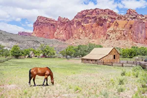 Gifford Farmhouse, Capitol Reef National Park, Utah, USA