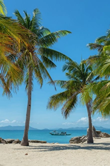The Philippines Prints: Gigantes Islands, Iloilo Province, Western Visayas, Philippines