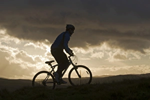 Snowdonia Prints: Gilar Farm, Snowdonia, North Wales. Man mountain biking. (MR)
