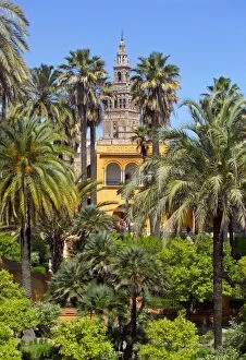 Images Dated 16th April 2005: Giralda tower seen from Alcazar Gardens, Seville, Spain