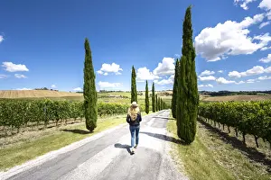 Girl Prints: A girl walking under the sun into wineyards landscape near Macerata, Marche region, Italy