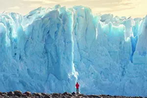 Nature Reserve Prints: Glacier in front of Perito Moreno