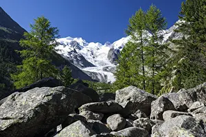 Pontresina Prints: Glaciers of the Bernina group seen from the Valley of Morteratsch by Pontresina