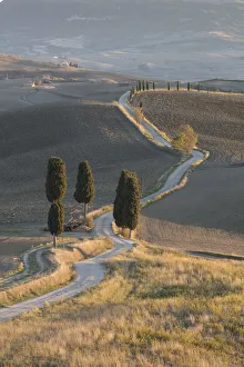 Pienza Prints: Gladiator road near Pienza, Val d Orcia, Tuscany, Italy