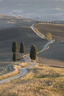 Gladiator road near Pienza, Val d Orcia, Tuscany, Italy