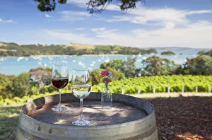 Glasses of wine at Goldie Room Vineyard and Restaurant, Waiheke Island, Auckland Glasses of wine at Goldie Room Vineyard and Restaurant, Waiheke Island, Auckland