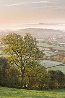 Images Dated 6th January 2015: Glastonbury Tor at dawn from the Mendips, Somerset, England
