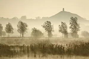 Images Dated 11th December 2020: Glastonbury Tor across the Somerset Levels at dawn, Somerset, England