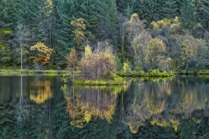 Glencoe Lochan Reflections, Highland Region, Scotland