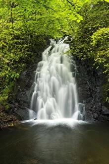 Glenoe Waterfall, Co. Antrim, Northern Ireland