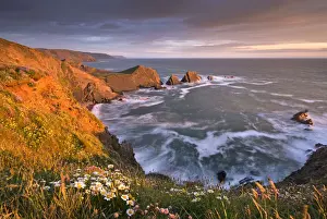 Early Summer Prints: Glorious evening sunlight illuminates the dramatic cliffs of Hartland Quay, looking
