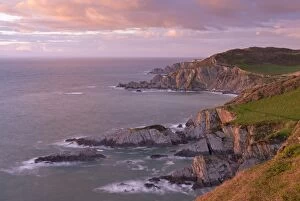 Images Dated 1st May 2014: Glorius evening light on the North Devon coast near Ilfracombe, England. Spring (May)