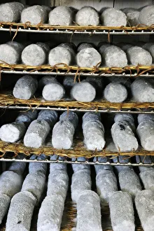 Food Gallery: Goat cheese. Azambuja, Ribatejo