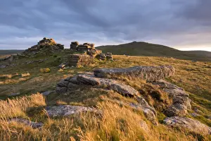 Golden evening light on West Mill Tor, Dartmoor National Park, Devon, England. Summer