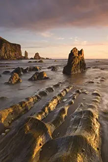 Golden evening sunlight bathes the rocks and ledges at Bantham in the South Hams, Devon