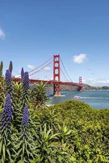 Images Dated 5th May 2017: Golden Gate bridge, San Francisco, California, USA