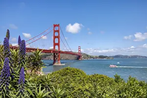 Golden Gate bridge, San Francisco, California, USA