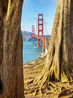 Brdige Prints: Golden Gate Bridge, San Francisco, California, USA