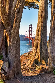 San Francisco Prints: Golden Gate Bridge, San Francisco, California, USA