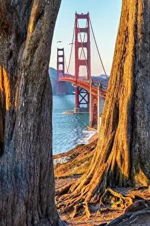 Brdige Prints: Golden Gate Bridge, San Francisco, California, USA