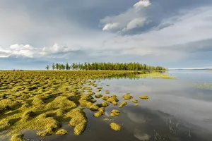 Golden light at Hovsgol Lake. Hovsgol province, Mongolia