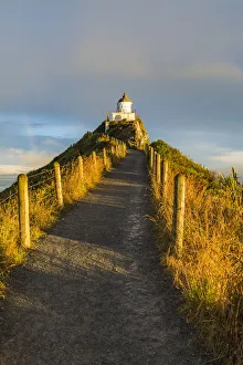 Ahuriri Flat Gallery: Golden light on Nugget Point lighthouse just before sunset. Ahuriri Flat, Clutha district
