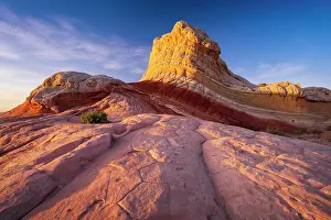 White Pocket Prints: Golden light on rocks at White Pocket in Vermilion Cliffs National Monument, Arizona, USA
