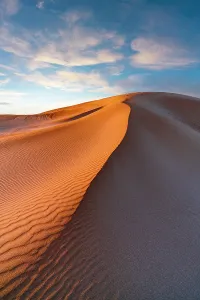 Environment Prints: Golden sand of desert dunes at sunset