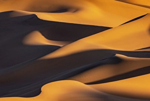 Dunes Prints: Detail of golden sand dunes, Khongor Dunes, Gobi Desert, Mongolia, Asia