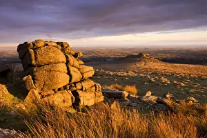 Bleak Prints: Golden sunshine glows against the granite outcrops at Belstone Tor, Dartmoor National Park