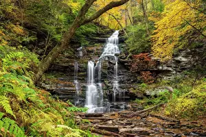 Autumn Leaf Prints: Gonaga Falls in Autumn, Ricketts Glen State Park, Benton, Pennsylvania, USA