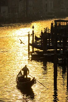 Images Dated 8th February 2023: Gondola on the Grand Canal, Venice, Veneto, Italy