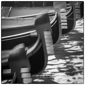 Gondolas on the Bacino di San Marco, Venice, Veneto, Italy
