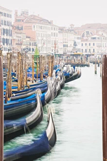 Gondolas in the mist on St Marks waterfront, Venice, Veneto, Italy