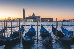 Gondolas on St Marks Square waterfront, Venice, Veneto, Italy