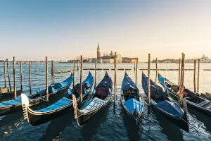 Gondolas at St Marks waterfront, Venice, Veneto, Italy