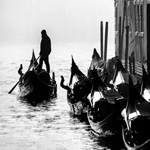 B And W Prints: Gondolier and gondolas in silhouette, Grand Canal, Venice, Italy, Europe