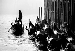 Gondolier Prints: Gondolier in silhouette and parked gondolas, Grand Canal, Venice, Italy