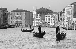 Black and White Gallery: Gondoliers on the Gran Canal, Venice, Veneto region, Italy