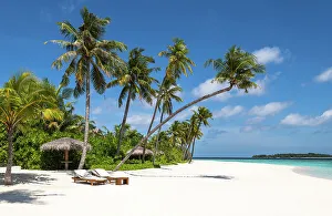 Retreat Prints: Gone for a swim, Baa Atoll, Maldives