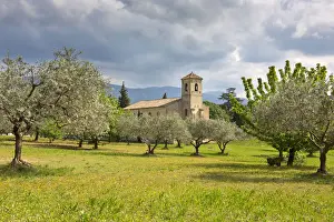 Gothic church of Saint-Andra -et-Saint-Trophime surrounded by olive trees, Lourmarin