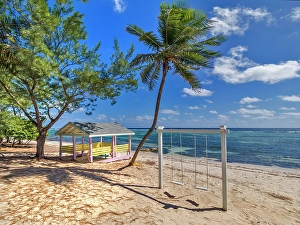 Swing Prints: Governor Russell Beach, Grand Cayman, Cayman Islands, British West Indies