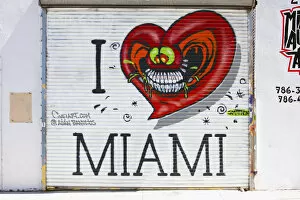 Images Dated 16th December 2015: Graffiti street art in the Wynwood Art District of Miami, Florida, USA